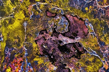 A 38C